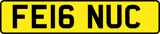 FE16NUC