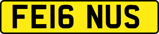 FE16NUS