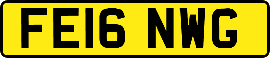 FE16NWG