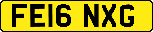 FE16NXG