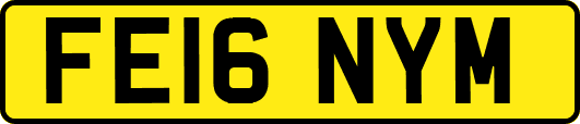 FE16NYM