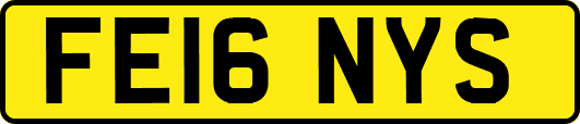 FE16NYS