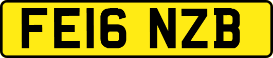 FE16NZB