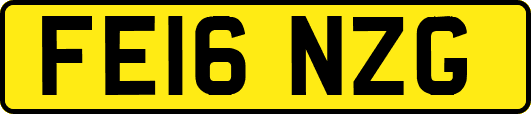 FE16NZG
