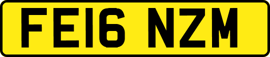 FE16NZM