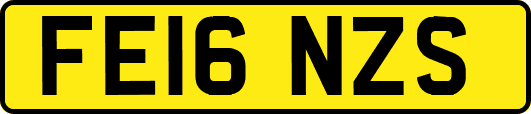 FE16NZS