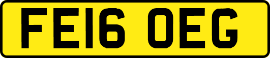 FE16OEG