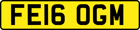 FE16OGM