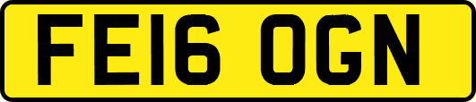 FE16OGN