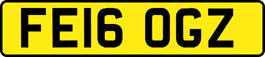 FE16OGZ