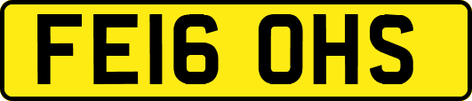 FE16OHS