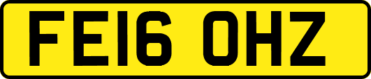 FE16OHZ