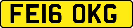 FE16OKG