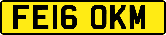 FE16OKM
