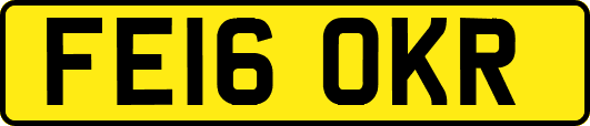 FE16OKR
