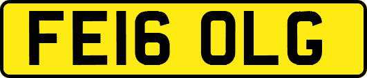 FE16OLG