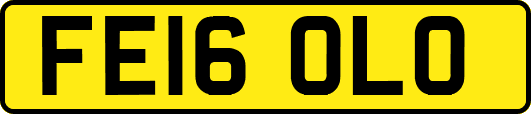 FE16OLO