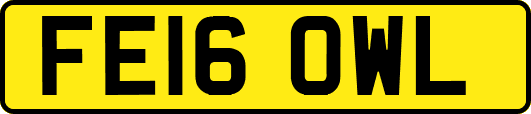FE16OWL