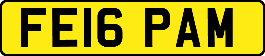FE16PAM