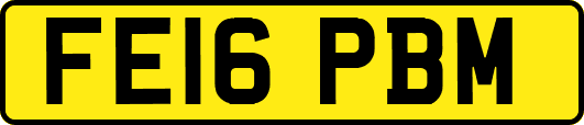 FE16PBM