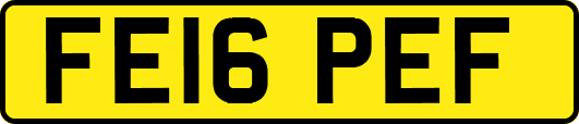 FE16PEF