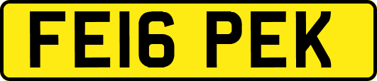 FE16PEK