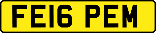 FE16PEM
