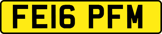 FE16PFM