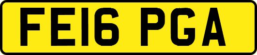 FE16PGA