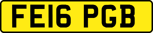 FE16PGB