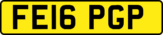 FE16PGP