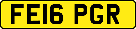 FE16PGR