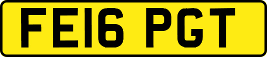 FE16PGT