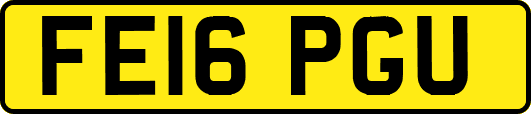 FE16PGU