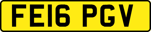 FE16PGV