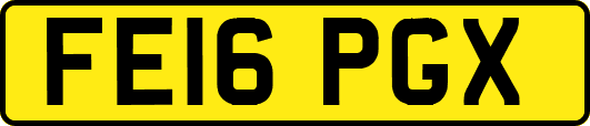 FE16PGX