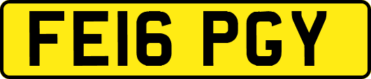 FE16PGY