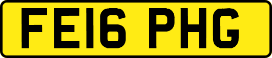 FE16PHG