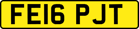 FE16PJT