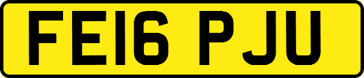 FE16PJU