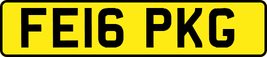FE16PKG