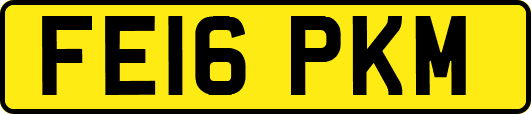 FE16PKM