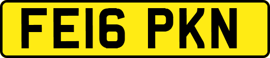 FE16PKN
