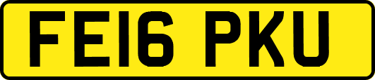 FE16PKU