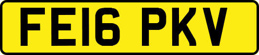 FE16PKV