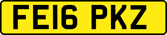 FE16PKZ