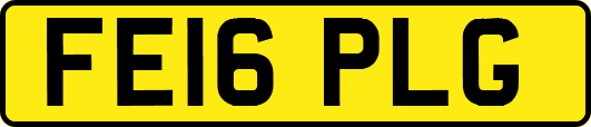 FE16PLG
