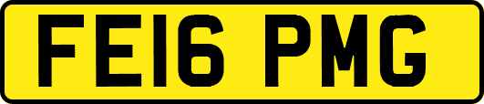 FE16PMG
