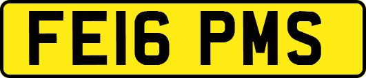 FE16PMS