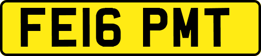 FE16PMT